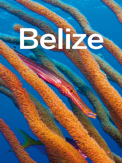 Title details for Belize Travel Guide by Lonely Planet - Available